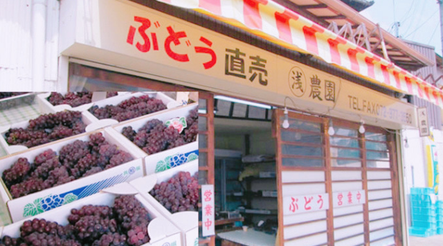 〇浅農園のイメージ