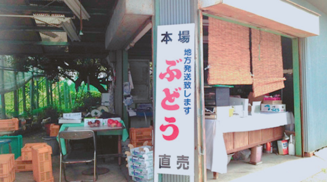 松井ぶどう園のイメージ