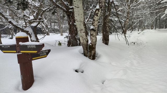 平湯探勝路のイメージ