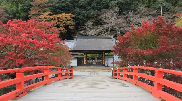 室生寺のイメージ