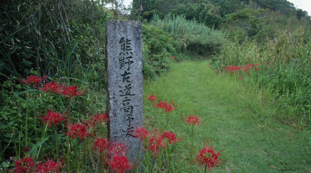 高野坂のイメージ