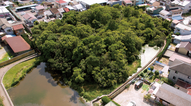 浮島の森のイメージ