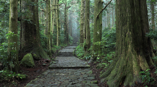 大門坂のイメージ