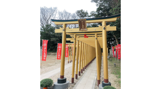 ほしいも神社のイメージ