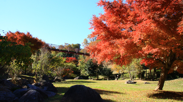 涸沼自然公園のイメージ