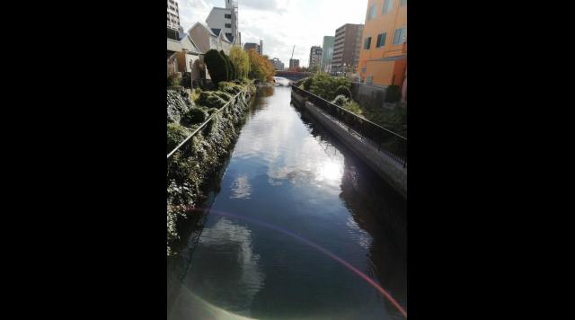 吾妻橋（内川・土居川）のイメージ