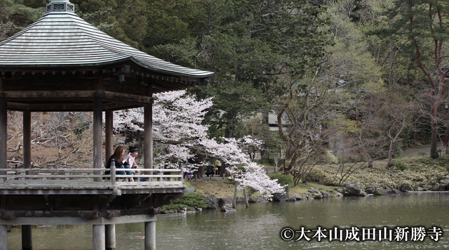 成田山公園　浮御堂のイメージ
