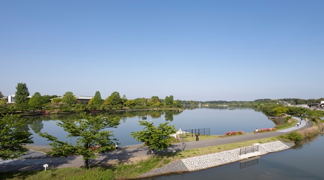 千波公園のイメージ