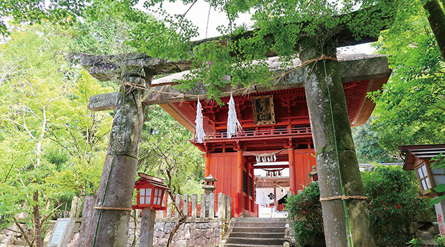 六殿神社のイメージ