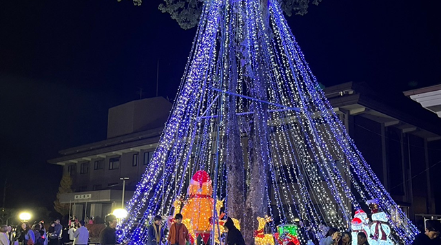 クリスマスイルミネーション　富合まちづくりセンターのイメージ