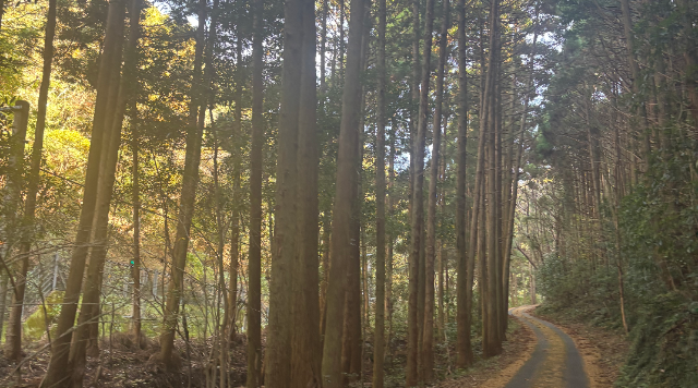 【熊野古道大辺路エリア（E）】熊野古道 仏坂、長井坂コースのイメージ