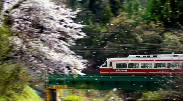 第四天見川橋梁下　通称トトロ街道のイメージ