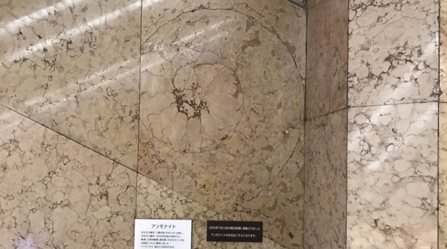三越本店のアンモナイト化石のイメージ