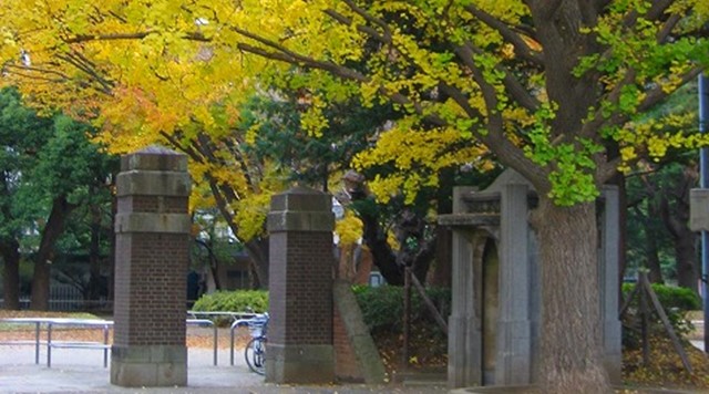 松戸中央公園のイメージ