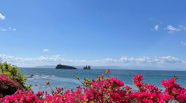 鯛島（牛の首農村公園）のイメージ