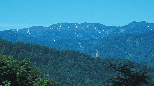 世界自然遺産｢白神山地｣のイメージ