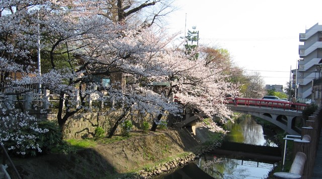 坂川遊歩道のイメージ