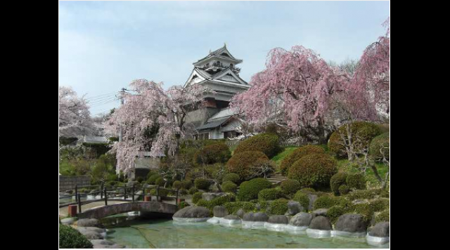桜の名所 月岡公園(上山城)のイメージ