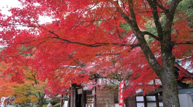 若山神社のイメージ