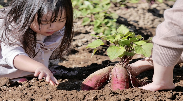 鹿児島市観光農業公園（グリーンファーム)のイメージ