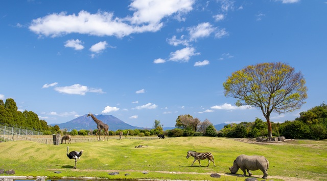 鹿児島市平川動物公園のイメージ