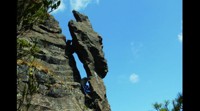 トカゲ岩のイメージ