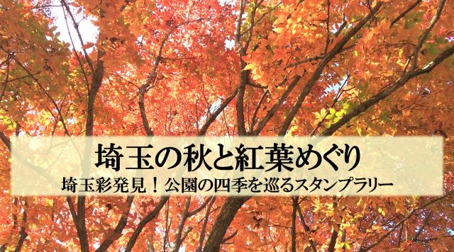  埼玉の秋と紅葉めぐり～公園の四季を巡るスタンプラリー～のイメージ