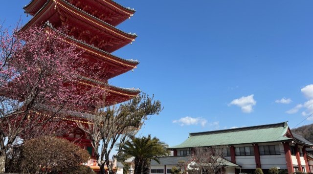 【目白不動 願昭寺】のイメージ