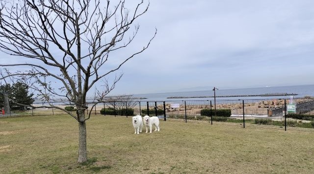 せんなん里海公園のイメージ