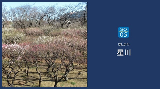 神奈川県立保土ケ谷公園のイメージ