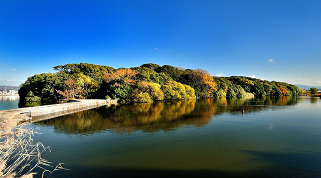 河内大塚山古墳のイメージ