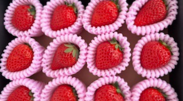 Y's farm strawberry field藤井寺のイメージ