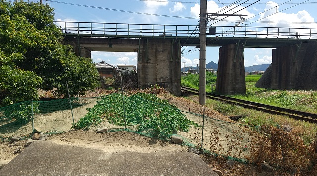 ★JR土讃線と高松琴平電鉄の立体交差のイメージ