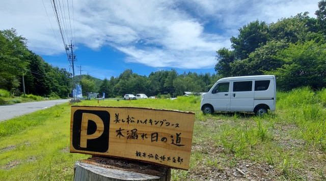 木漏れ日の道　駐車場のイメージ